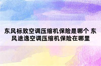 东风标致空调压缩机保险是哪个 东风途逸空调压缩机保险在哪里